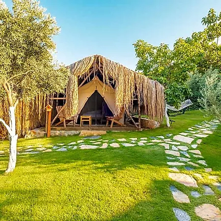 Отель Joy Glamping 2*
