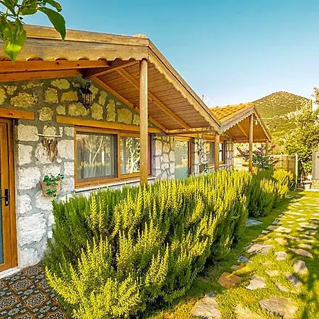 Joy Glamping Каш