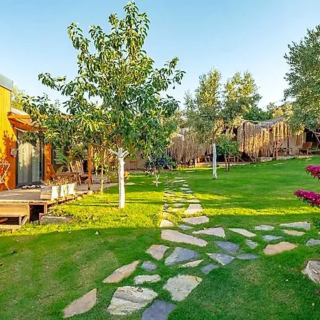 Отель Joy Glamping 2*