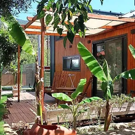 Отель Joy Glamping Каш